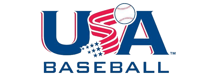 USA Baseball Stamp Example